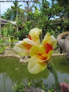 Hoi an - Our 26th Atlantis cruise (Azamara Quest)