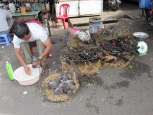 Nah Trang - Our 26th Atlantis cruise (Azamara Quest)