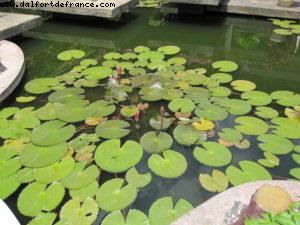 Ho Chi Minh - Our 26th Atlantis cruise (Azamara Quest)