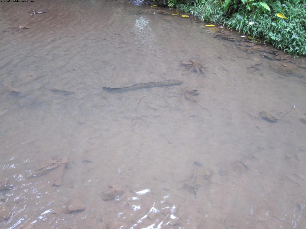 Tahiti - Our 27th Atlantis cruise (Paul Gauguin)