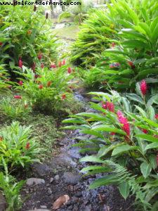 Tahiti - Our 27th Atlantis cruise (Paul Gauguin)