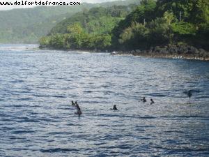 Tahiti - Our 27th Atlantis cruise (Paul Gauguin)