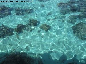 Hotel Le Meridien - Papeete - Our 27th Atlantis cruise (Paul Gauguin)