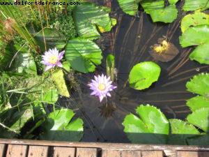 Hotel Le Meridien - Papeete - Our 27th Atlantis cruise (Paul Gauguin)