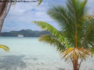 Taha'a - Motu Moana - Tahiti - Our 27th Atlantis cruise (Paul Gauguin)
