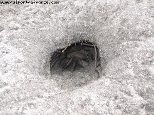 Taha'a - Motu Moana - Tahiti - Our 27th Atlantis cruise (Paul Gauguin)