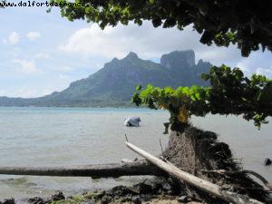 Bora Bora - Bicycle ride around the Island - Tahiti - Our 27th Atlantis cruise (Paul Gauguin)