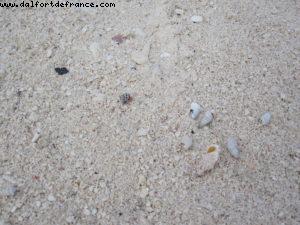 Motu Bora Bora - Tahiti - Our 27th Atlantis cruise (Paul Gauguin)