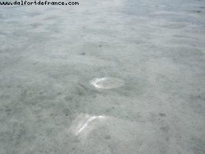 Motu Bora Bora - Tahiti - Our 27th Atlantis cruise (Paul Gauguin)