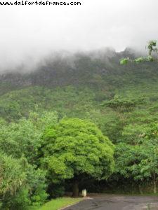 Moorea Tahiti - Our 27th Atlantis cruise (Paul Gauguin)