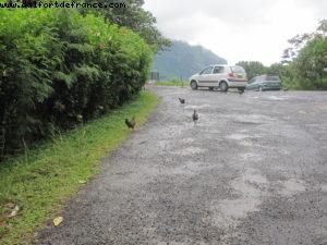 Moorea Tahiti - Our 27th Atlantis cruise (Paul Gauguin)