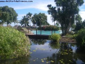 Hotel Le Meridien - Papeete - Our 27th Atlantis cruise (Paul Gauguin)