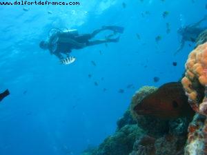 Scuba diving in Bora Bora