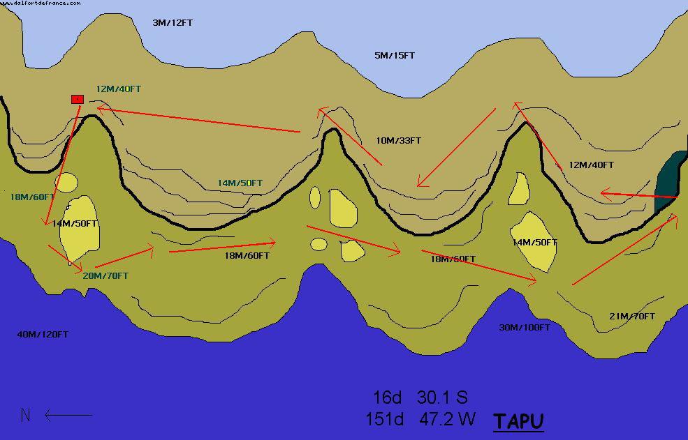 TAPU Scuba diving surrounded by sharks in Moorea
