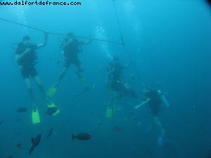 Scuba diving surrounded by sharks in Moorea