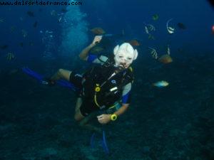 Scuba diving surrounded by sharks in Moorea
