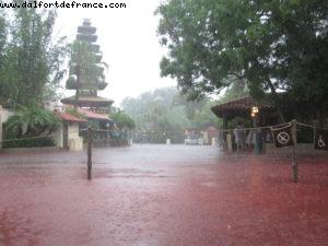 Magic Kingdom - Orlando