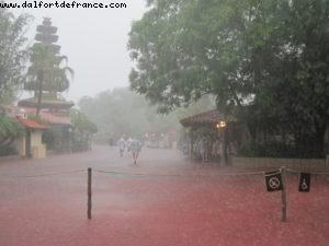 Magic Kingdom - Orlando