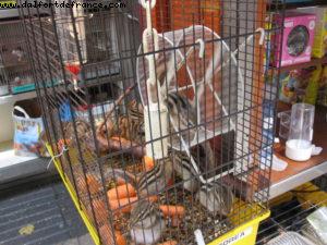 Barcelona The first ever 100% gay French cruise (Bleu de France)