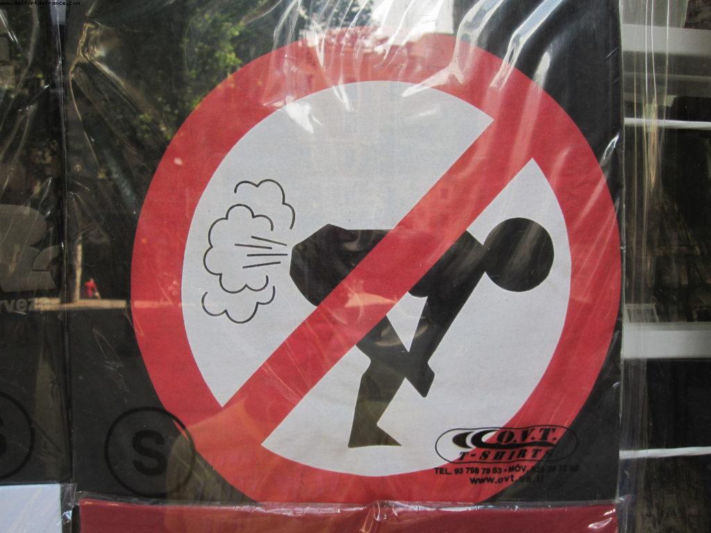 Barcelona The first ever 100% gay French cruise (Bleu de France)