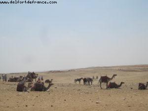 pyramid of giza - Cairo - Atlantis Cruise - Ms Celebrity Solstice (August 2009)