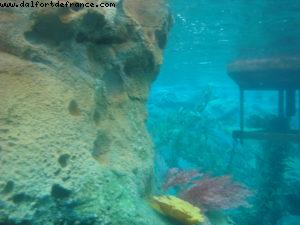 Disneyland Park with Bob Gurr - Los Angeles