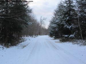 Christmas Time - Paris