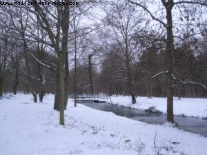 Christmas Time - Paris