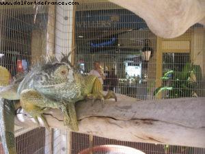 Grand Cayman - Our 31st Atlantis cruise (Liberty of the Seas)