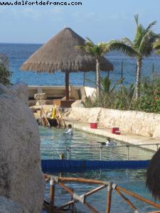 Cozumel - Our 31st Atlantis cruise (Liberty of the Seas)