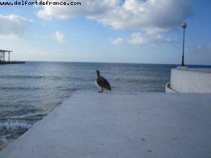 Cozumel - Our 31st Atlantis cruise (Liberty of the Seas)
