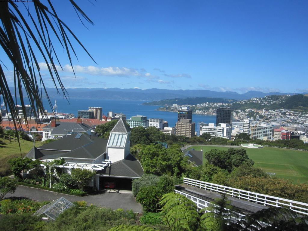 Wellington - Our 32nd Atlantis cruise (Volendam)