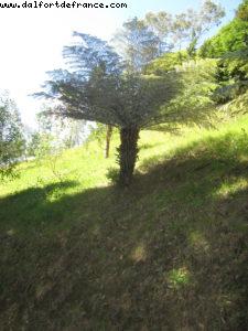 Wellington - Our 32nd Atlantis cruise (Volendam)