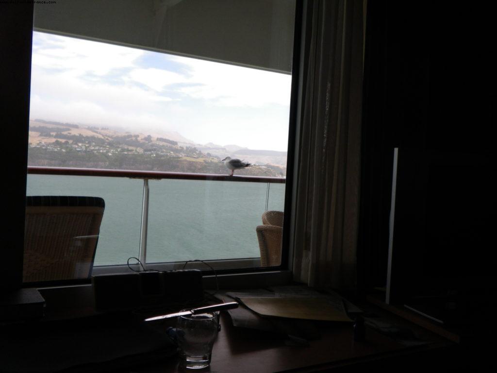 Our 32nd Atlantis cruise (Volendam)