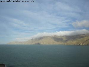 Our 32nd Atlantis cruise (Volendam)