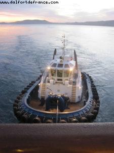 Dunedin - Our 32nd Atlantis cruise (Volendam)