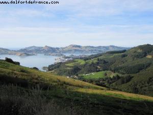 Dunedin - Our 32nd Atlantis cruise (Volendam)