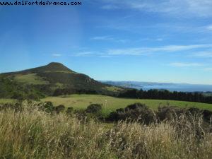 Dunedin - Our 32nd Atlantis cruise (Volendam)