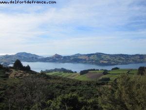 Dunedin - Our 32nd Atlantis cruise (Volendam)