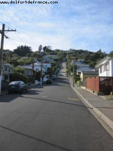 Dunedin - Our 32nd Atlantis cruise (Volendam)