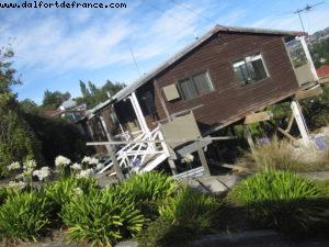 Dunedin - Our 32nd Atlantis cruise (Volendam)