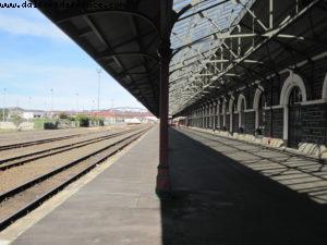 Dunedin - Our 32nd Atlantis cruise (Volendam)