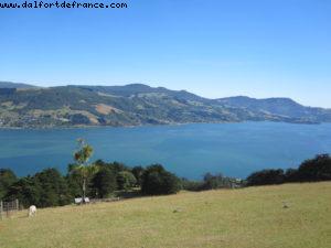 Dunedin - Our 32nd Atlantis cruise (Volendam)