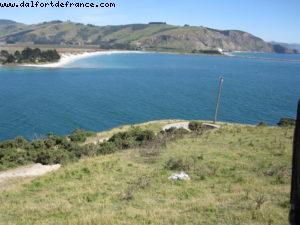 Dunedin - Our 32nd Atlantis cruise (Volendam)