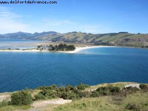 Dunedin - Our 32nd Atlantis cruise (Volendam)