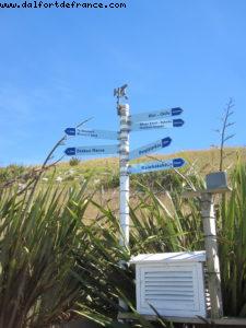 Dunedin - Our 32nd Atlantis cruise (Volendam)