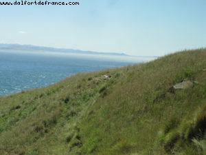 Dunedin - Our 32nd Atlantis cruise (Volendam)