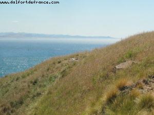 Dunedin - Our 32nd Atlantis cruise (Volendam)