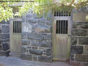 Dunedin - Our 32nd Atlantis cruise (Volendam)