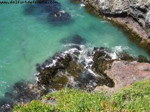 Dunedin - Our 32nd Atlantis cruise (Volendam)